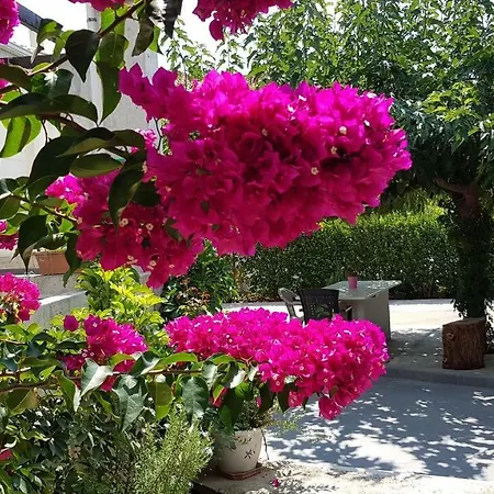 Adonia Villa Levkákia