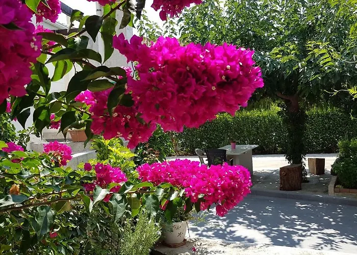 Adonia Villa Levkákia
