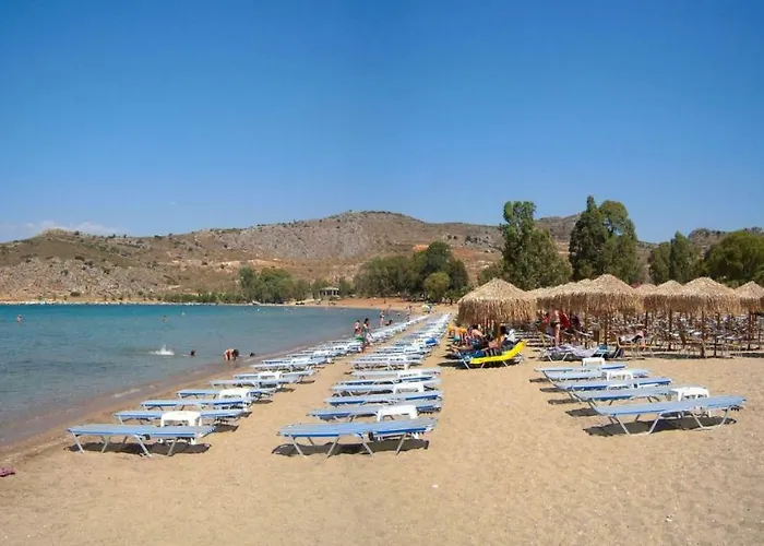 Adonia *